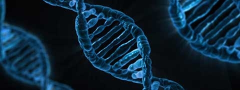 25 november 2018: Lezing/workshop ‘Hoe DNA jouw afkomst kan bepalen’
